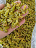 کشمش سبز قلمی لوکس کاشمر