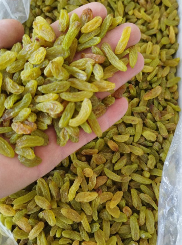 کشمش سبز قلمی لوکس کاشمر